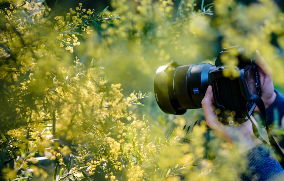 person taking photos with a digital camera