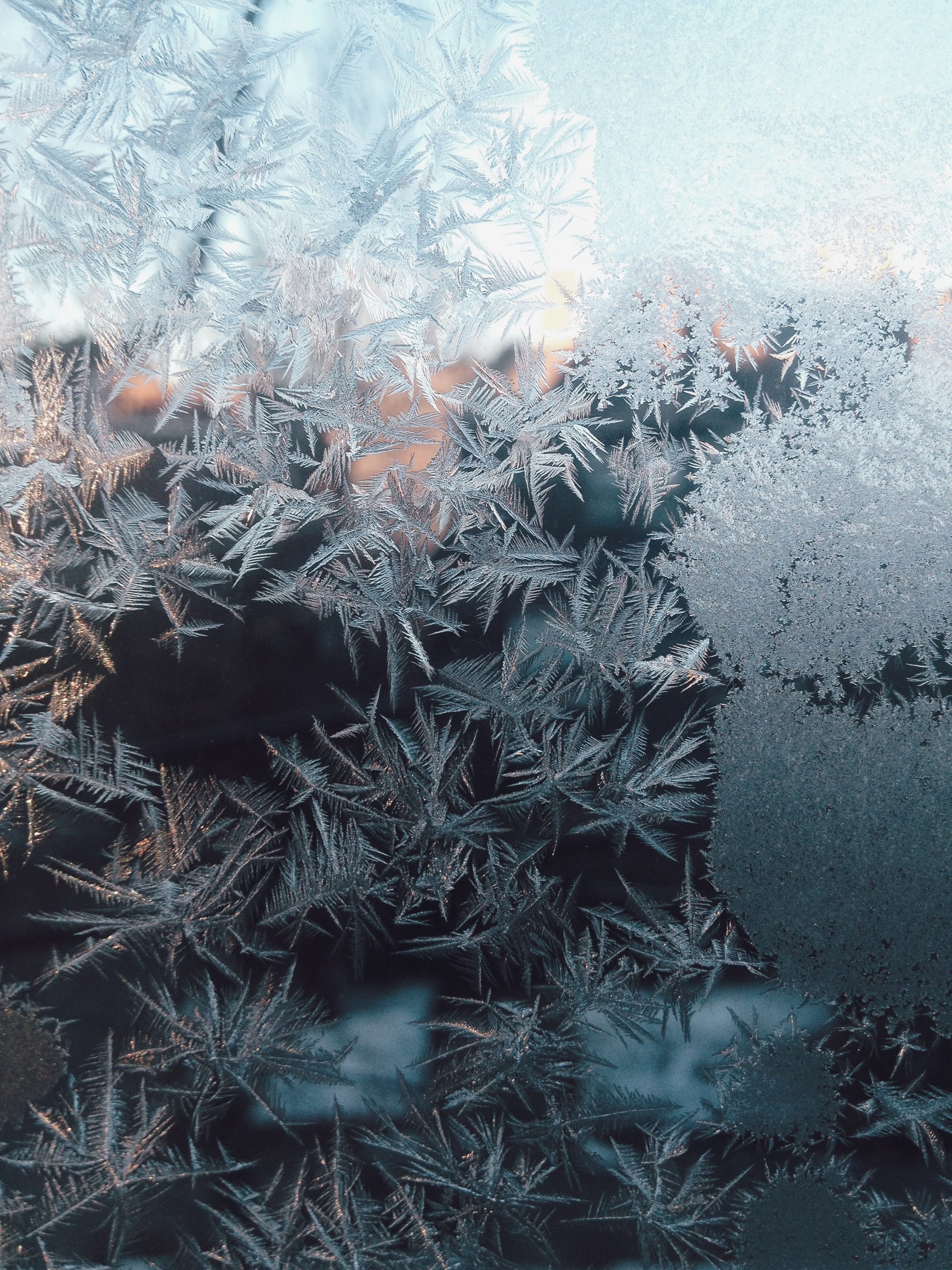 frosted snowflakes